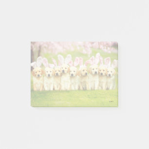 Row of Puppy Bunnies Post-it Notes