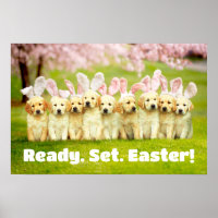 Row of Puppy Bunnies