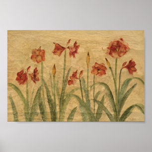 Row of Red Amaryllis Poster