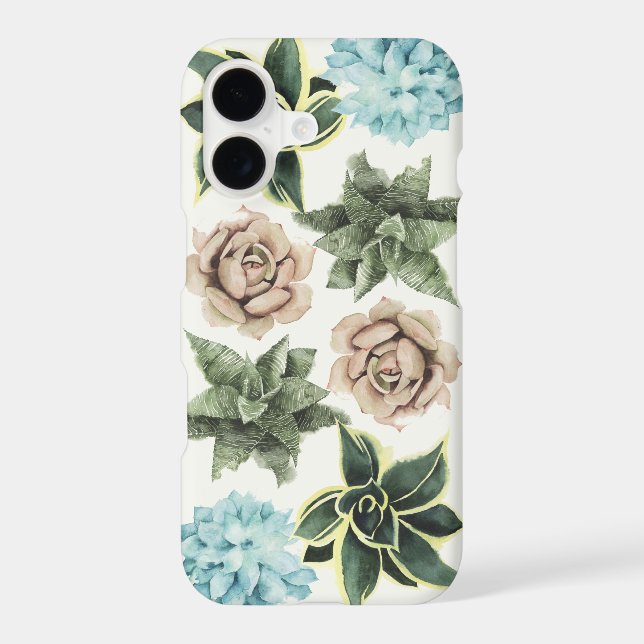Row of Succulents (Back)