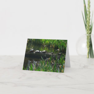 Row of Turtles Green Nature Photo Card