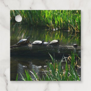 Row of Turtles Green Nature Photo Favour Tags