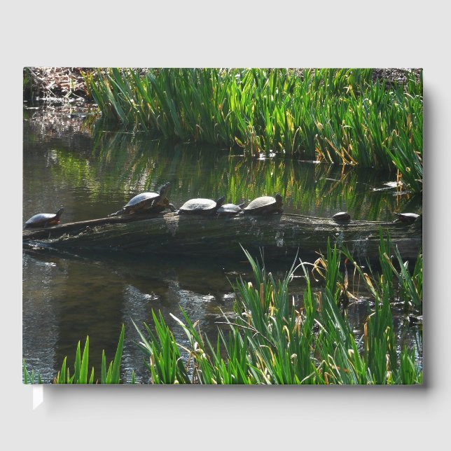Row of Turtles Green Nature Photo Guest Book (Front)