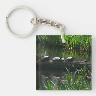 Row of Turtles Green Nature Photo Key Ring
