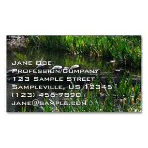 Row of Turtles Green Nature Photo Magnetic Business Card