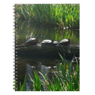 Row of Turtles Green Nature Photo Notebook