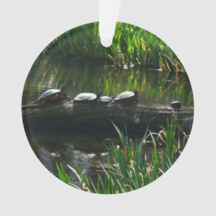 Row of Turtles Green Nature Photo Ornament