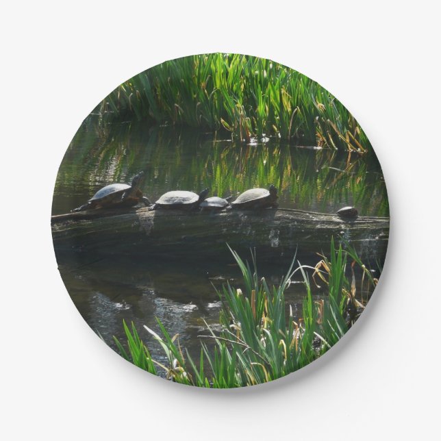 Row of Turtles Green Nature Photo Paper Plate (Front)