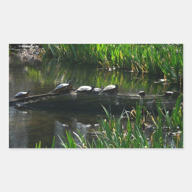 Row of Turtles Green Nature Photo Rectangular Sticker (Front)