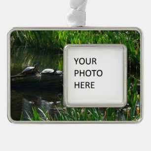 Row of Turtles Green Nature Photo Silver Plated Framed Ornament