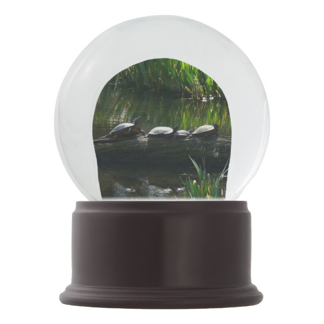 Row of Turtles Green Nature Photo Snow Globe (Front)