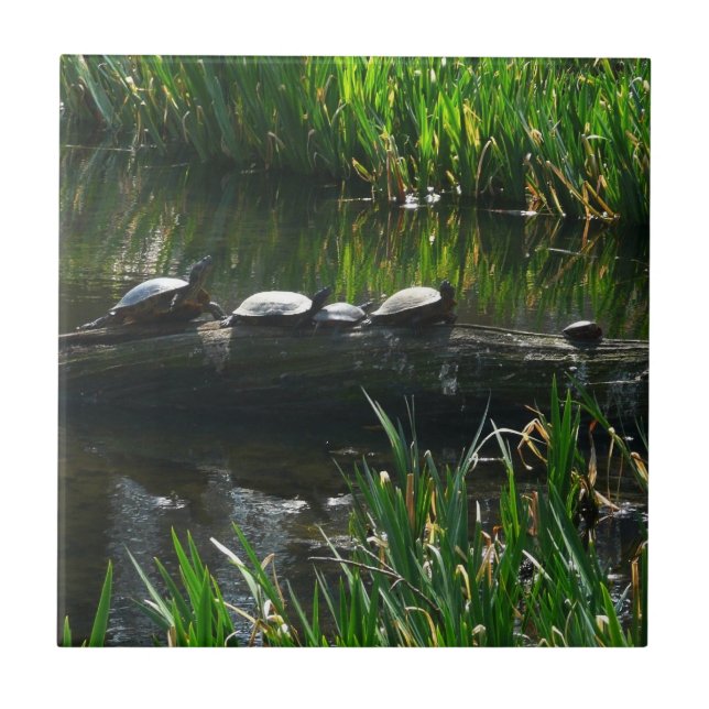 Row of Turtles Green Nature Photo Tile (Front)