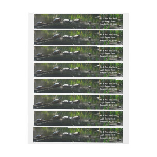 Row of Turtles Green Nature Photo Wrap Around Label