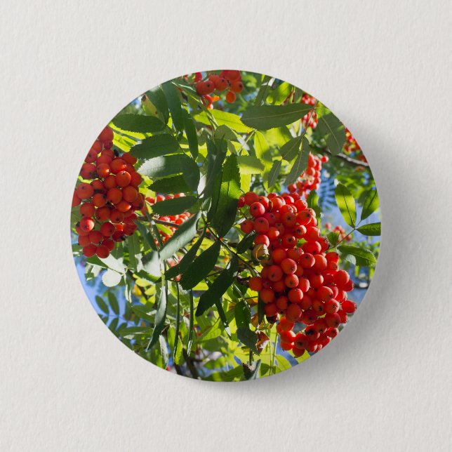 Rowan 6 Cm Round Badge (Front)