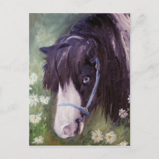 Rowdy postcard