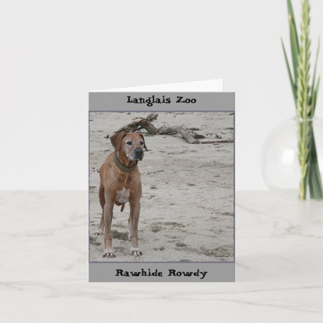 Rowdy, Rawhide Rowdy, Langlais Zoo Card (Front)