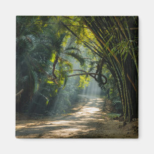Rows of Bamboo Magnet