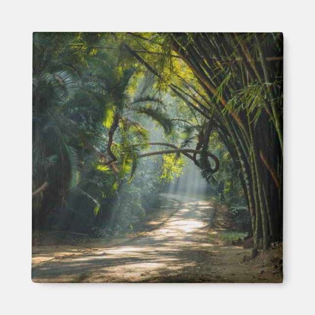 Rows of Bamboo Magnet (Front)