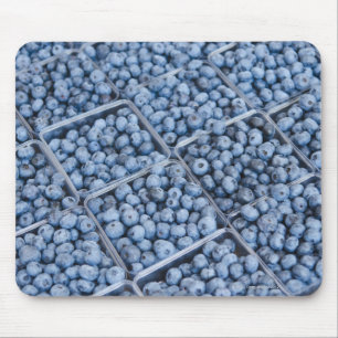Rows of blueberries mouse pad