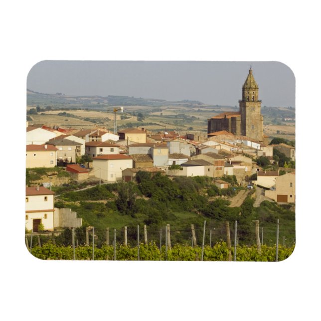 Rows of grape vines in the foreground frame the magnet (Horizontal)