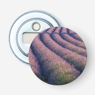 Rows of lavender in Provence Bottle Opener