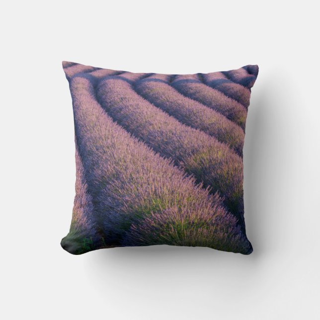 Rows of lavender in Provence Cushion (Front)