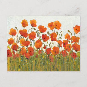 Rows of Poppies I Postcard
