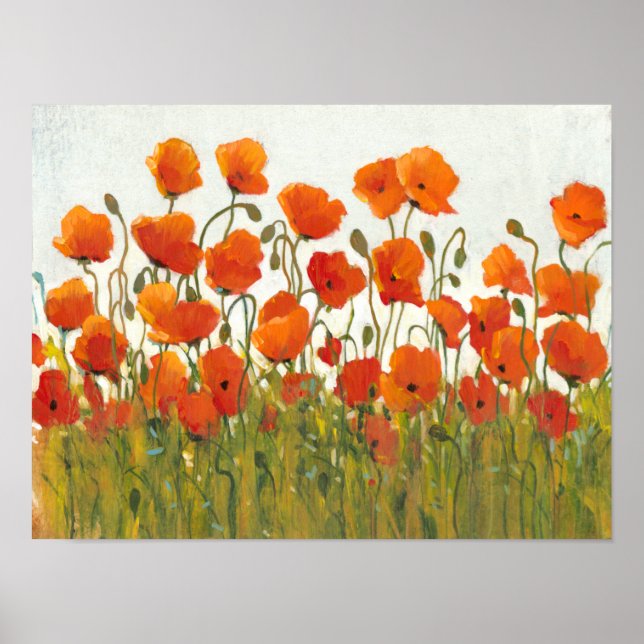Rows of Poppies I Poster (Front)