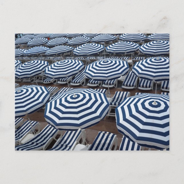 Rows Of Striped Beach Umbrellas With Sun Beds Postcard (Front)