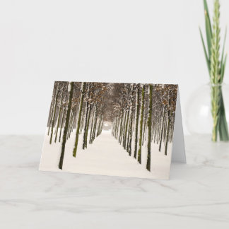 Rows of trees holiday card