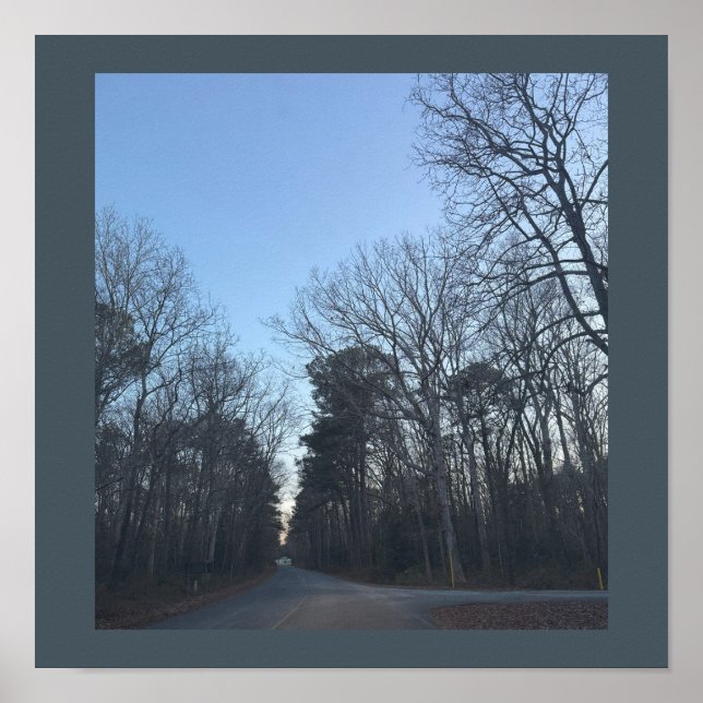 Rows of Trees Poster (Front)