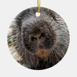 Rox 2016 ceramic ornament