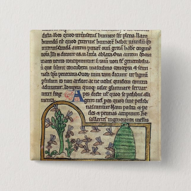 Roy Page of text with illustration of 15 Cm Square Badge (Front)