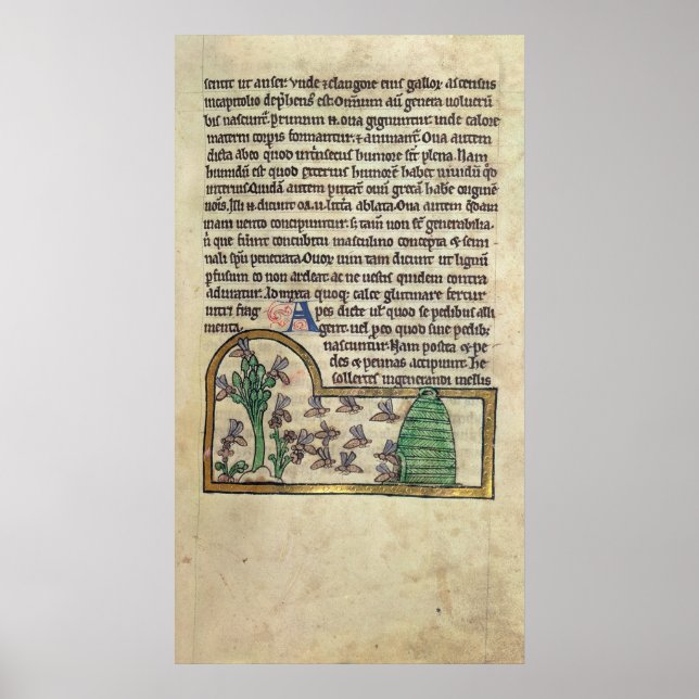 Roy Page of text with illustration of Poster (Front)