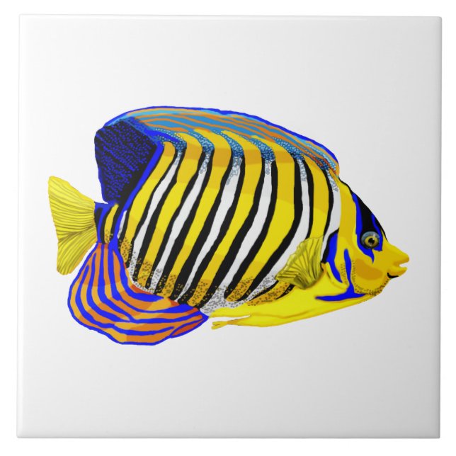 Royal Angelfish Ceramic Tile (Front)
