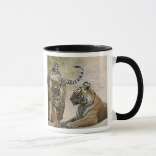 Royal Bengal Tiger and young ones, Ranthambhor Mug