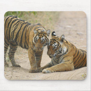 Royal Bengal Tiger and young - Touching ahead, Mouse Pad