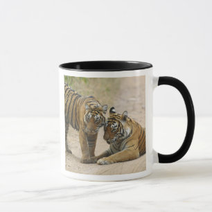 Royal Bengal Tiger and young - Touching ahead, Mug
