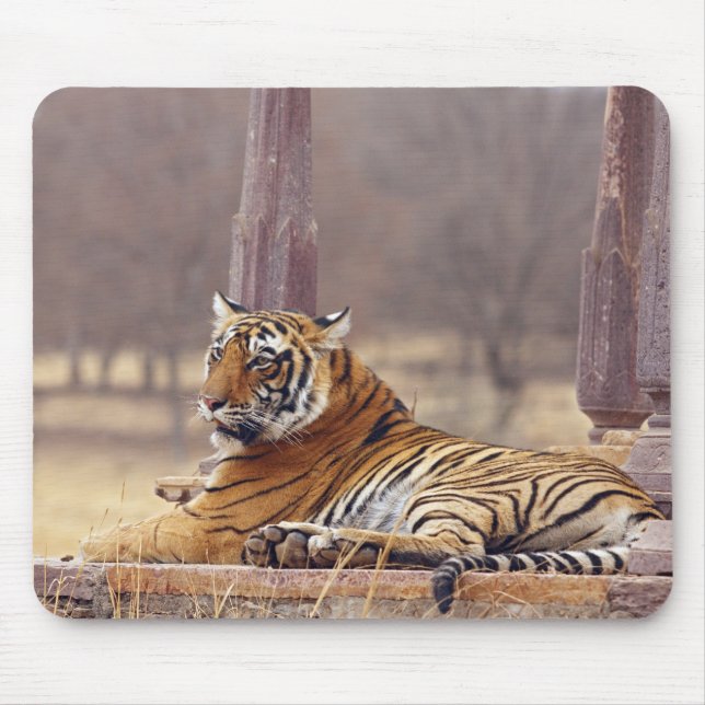 Royal Bengal Tiger at the ceaph, Mouse Pad (Front)