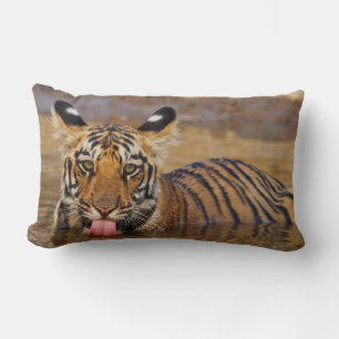 Royal Bengal Tiger cub, drinking water Lumbar Cushion