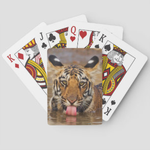 Royal Bengal Tiger cub, drinking water Playing Cards