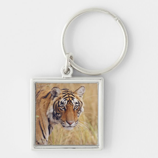Royal Bengal Tiger Key Ring (Front)