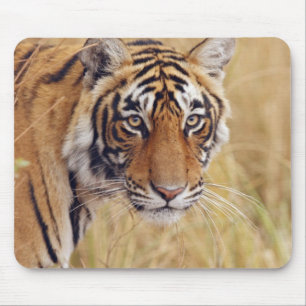 Royal Bengal Tiger Mouse Pad