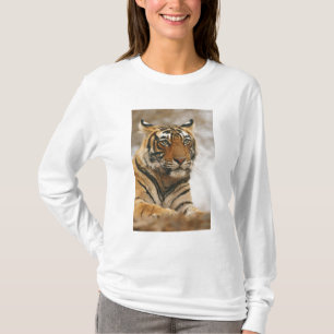 Royal Bengal Tiger on the rock, Ranthambhor T-Shirt