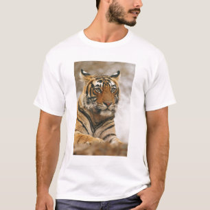 Royal Bengal Tiger on the rock, Ranthambhor T-Shirt
