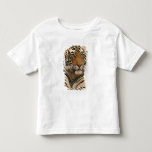 Royal Bengal Tiger on the rock, Ranthambhor Toddler T-Shirt
