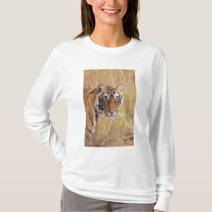 Royal Bengal Tiger T-Shirt