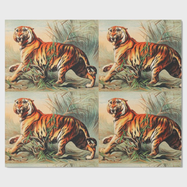 Royal Bengal Tiger    Wrapping Paper (Flat)