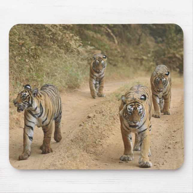 Royal Bengal Tigers Mouse Pad (Front)