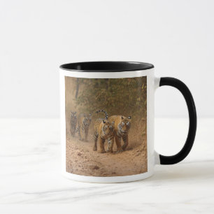 Royal Bengal Tigers on the move, Ranthambhor Mug